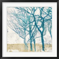 Turquoise Trees II Framed Print