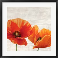 Bright Poppies I Framed Print