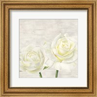 Classic Roses I Fine Art Print