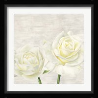 Classic Roses I Framed Print
