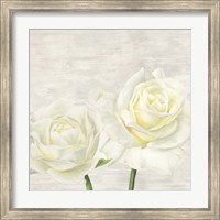 Classic Roses I Fine Art Print