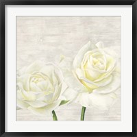 Classic Roses I Framed Print
