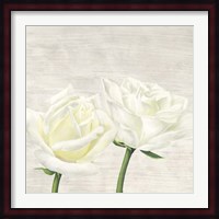 Classic Roses II Fine Art Print