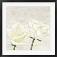 Classic Roses II Fine Art Print