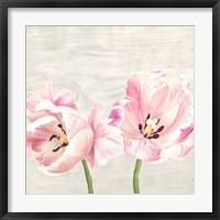 Classic Tulips II Framed Print