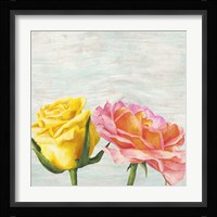 Funky Roses I Framed Print