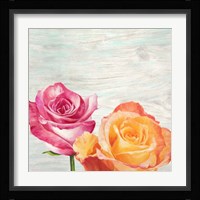 Funky Roses II Framed Print