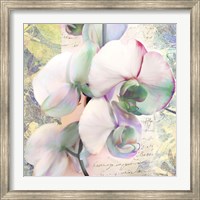 Kaleidoscope Orchid (detail) Fine Art Print