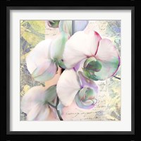 Kaleidoscope Orchid (detail) Fine Art Print