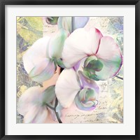 Kaleidoscope Orchid (detail) Framed Print