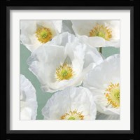 Poppies on Mint II Framed Print