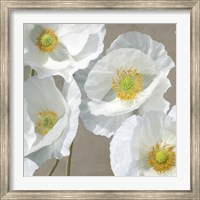 Poppies on Taupe I Fine Art Print