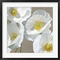 Poppies on Taupe I Framed Print