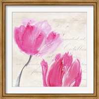 Classic Tulips II Fine Art Print