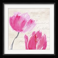 Classic Tulips II Framed Print