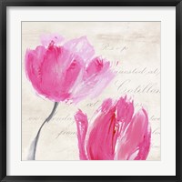 Classic Tulips II Framed Print