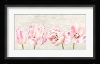 Classic Tulips Fine Art Print
