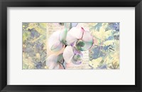 Kaleidoscope Orchid Fine Art Print