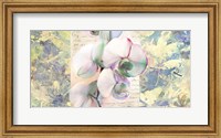 Kaleidoscope Orchid Fine Art Print