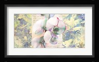Kaleidoscope Orchid Fine Art Print