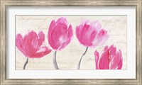 Classic Tulips Fine Art Print