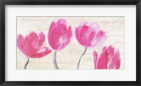 Classic Tulips Fine Art Print