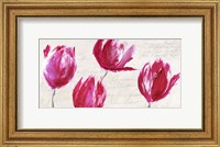 Crimson Tulips Fine Art Print