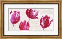 Crimson Tulips Fine Art Print
