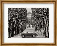 Roadster in Tree Lined Road, Paris (BW) Fine Art Print