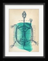 Memories of the Wild I Framed Print