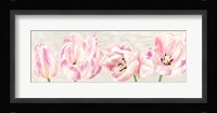 Classic Tulips Fine Art Print