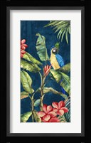 Tropicano II Framed Print