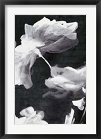Dark Beauty II Framed Print