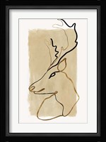 Antlers II Framed Print
