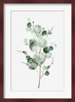 Tender Sprout I Fine Art Print