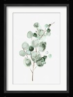 Tender Sprout II Framed Print