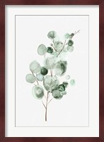 Tender Sprout II Fine Art Print