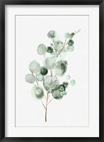 Tender Sprout II Fine Art Print