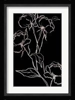 Sudden Sense Fine Art Print