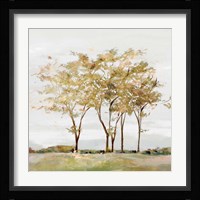 Golden Acre Wood Fine Art Print