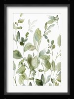 Greetings to the Morning II Framed Print