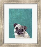 Pug Puppy Fine Art Print