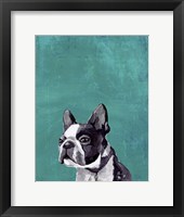 Frenchie Puppy Fine Art Print
