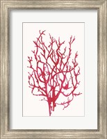 Red Reef Coral I Fine Art Print