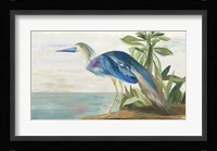 Season of Pease I Framed Print