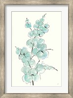 Eucalyptus Branch IV Fine Art Print