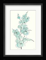 Eucalyptus Branch IV Fine Art Print
