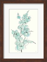 Eucalyptus Branch IV Fine Art Print