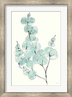 Eucalyptus Branch III Fine Art Print