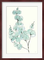Eucalyptus Branch III Fine Art Print